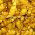 Chinese Fresh Gingger (competitive price)
